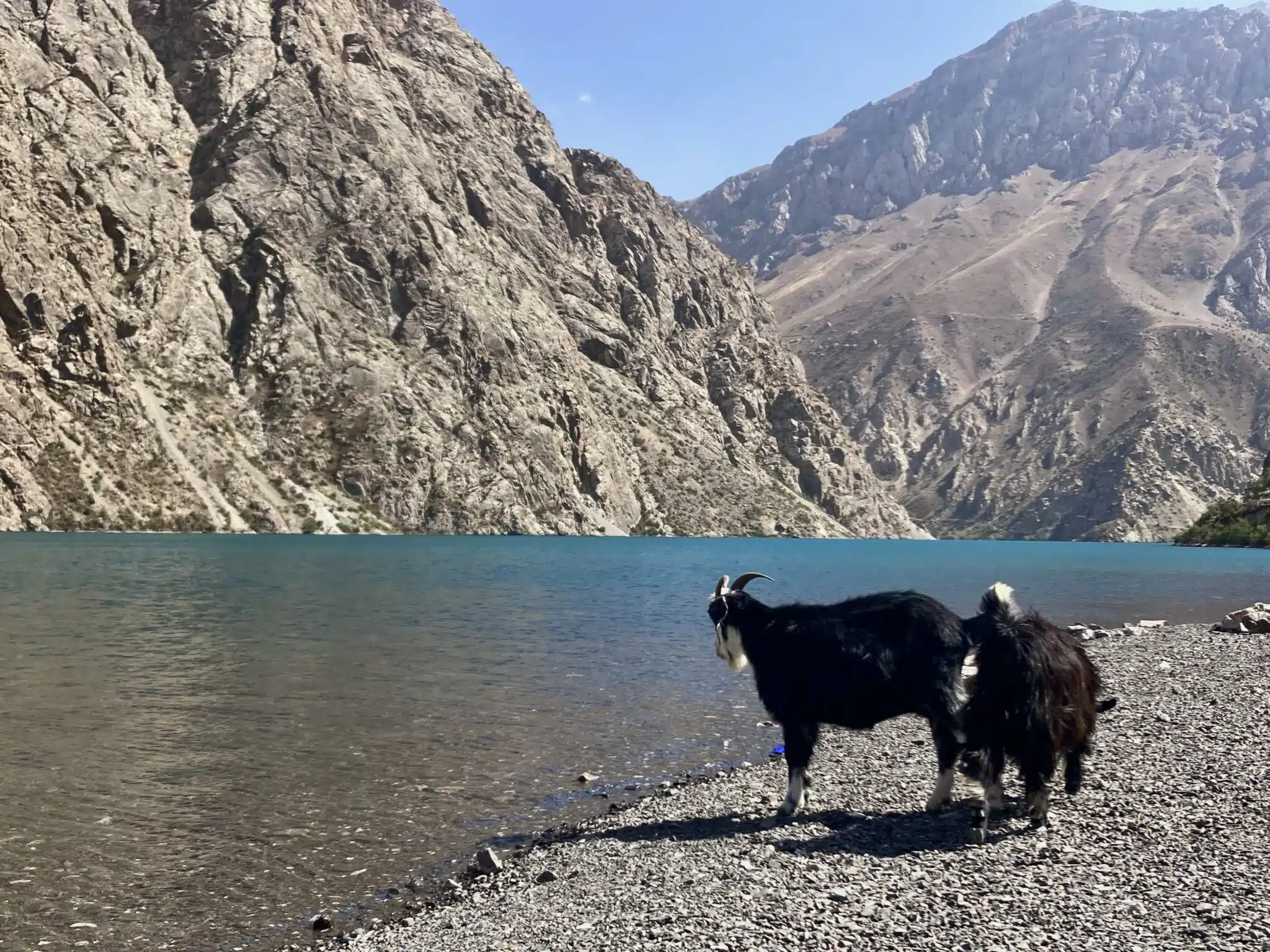 PathoraTrip group enjoying a scenic mountain tour in Tajikistan.