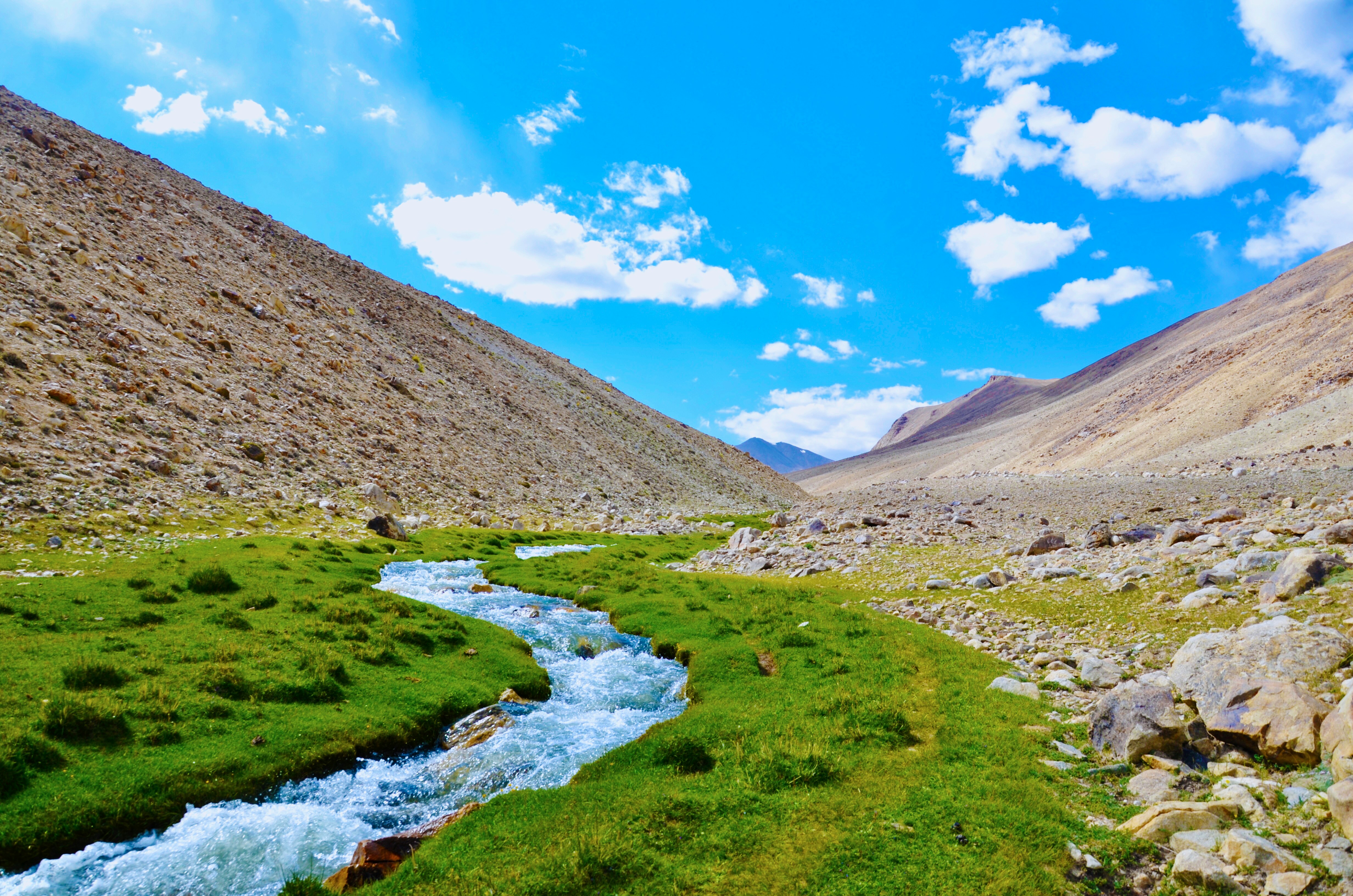 Local shepherds and yaks grazing near the mountain lakes of Tajikistan.